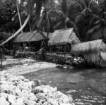 A family compound at the lagoon shore