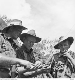 LALOKI VALLEY, NEW GUINEA. 1943-11-05. THREE MEMBERS OF A PATROL FROM THE NEW GUINEA FORCE TRAINING SCHOOL (JUNGLE WING) DISCUSSING LOCAL FEATURES, DURING A SPELL. LEFT TO RIGHT: NX11590 SERGEANT ..