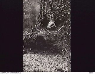 BULLDOG-WAU ROAD, NEW GUINEA, 1943-07-14. ENGINEERS OF HEADQUARTERS, ROYAL AUSTRALIAN ENGINEERS, 11TH AUSTRALIAN DIVISION, LAYING A BLASTING CHARGE DURING THE CONSTRUCTION OF THE ROAD AT 21 MILE ..