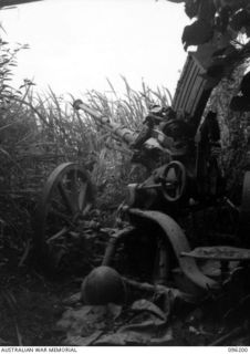 WIRUI MISSION, WEWAK AREA, NEW GUINEA, 1945-09-07. A 20MM JAPANESE ANTI-AIRCRAFT GUN ESTABLISHED IN ITS WEAPON PIT. THE JAPANESE USED THIS GUN TO FIRE ON WEWAK AIRSTRIP