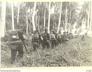 WEWAK AREA, NEW GUINEA. 1944-05-26. FORWARD TROOPS OF THE 35TH INFANTRY BATTALION MOVING THROUGH A PLANTATION DURING THEIR DRIVE UP THE COAST TO WEWAK. IDENTIFIED PERSONNEL ARE:- PRIVATE S. STUBBS ..