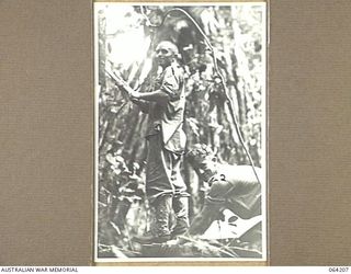 GEYTON'S POST, NEW GUINEA. 1944-01-19/20. QX3392 PRIVATE C. DAVIES (1) AND QX11753 PRIVATE J.E.C. WADE (2) OF THE 2/5TH FIELD AMBULANCE CLEARING AWAY THE JUNGLE GROWTH DURING THE ERECTION OF THE ..