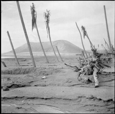 Aftermath of a volcanic eruption, Rabaul, New Guinea, 1937 / Sarah Chinnery