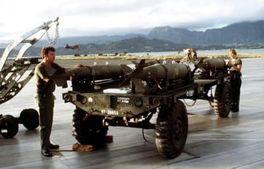 STAFF Sergeant Bruce Boyer and AIRMAN 1ST Class Laura Washnesky defuse Mark 82 500-pound laser-guided bombs for removal from a munitions cart. The bombs will be loaded on an F-16 The bombs will be loaded on an F-16 Fighting Falcon aircraft during exercise COPE ELITE '81