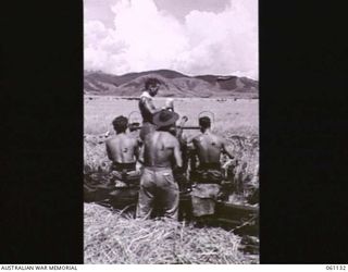 DUMPU AIRSTRIP, NEW GUINEA. 1943-11-13. GUNNERS OF THE 2/4TH AUSTRALIAN LIGHT ANTI-AIRCRAFT REGIMENT DOING LAYING PRACTICE ON A DOUGLAS AIRCRAFT AS IT APPROACHES THE AIRSTRIP. SHOWN ARE: VX24641 ..