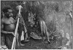 Pig festival, uprooting cordyline ritual, Tsembaga: marsupial meat and pandanus fruit, associated with red spirits of high ground, are placed in leaves for cooking