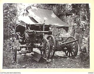 NANTAMBU, NEW BRITAIN, 1945-07-26. MAJOR R.L. CURTIS BESIDE CAPTURED JAPANESE MOUNTAIN GUNS