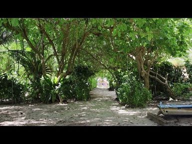 From butchery to a thriving seafood business | Solomon Islands