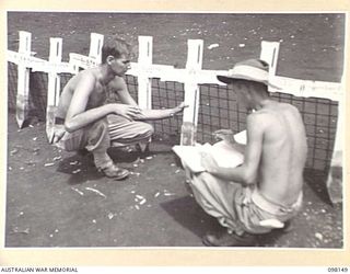 CAPE MOEM, NEW GUINEA. 1945-10-23. SERGEANT H. GREGORY (1) AND CORPORAL C. SHAW (2), MEMBERS OF 7 WAR GRAVES UNIT, MAKE A FINAL CHECK OF THE WORDING ON THE CROSS BEFORE PLACING IT IN A GRAVE, AT ..