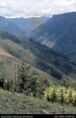 Mondia's high garden, Mondia gardening (Chimbu Gorge from garden)