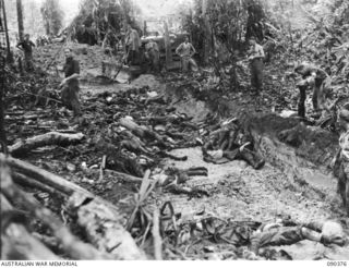 BOUGAINVILLE. 1945-04-06. 25 INFANTRY BATTALION TROOPS PLACING JAPANESE BODIES INTO A COMMON GRAVE DUG BY A BULLDOZER. THESE MEN DIED IN AN UNSUCCESSFUL ATTEMPT TO CAPTURE SLATER'S KNOLL ..