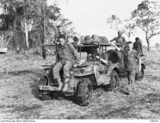 DUMPU, NEW GUINEA, 1943-10-10. WOUNDED ON STRETCHERS ARRIVING AT HEADQUARTERS, 21ST AUSTRALIAN INFANTRY BRIGADE, ON A CONVERTED JEEP