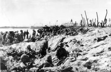 [Fourth Division Marines at a Namur Island Beachhead]