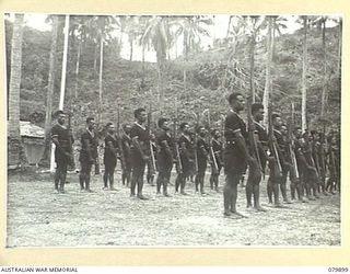 AITAPE, NEW GUINEA. 1945-03-23. A DETACHMENT OF THE ROYAL PAPUAN CONSTABULARY AT NEW GUINEA ADMINISTRATIVE HEADQUARTERS GIVE A SMART "PRESENT ARMS" WHILE AWAITING THE ARRIVAL OF THE VICE- REGAL ..