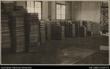 Stacks of marked cane in cooling room, Pineapple Cannery