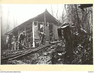 1943-08-16. NEW GUINEA. MOUNT TAMBU. AUSTRALIANS CLEARING THE JUNGLE ROUND HOUSE BANANA ADVANCED DRESSING STATION. THE HOUSE SERVES AS A STAGING CAMP ON THE TRACK FROM MOUNT TAMBU, WHERE WALKING ..