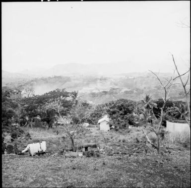 Gold mining area, Fiji, 1966 / Michael Terry