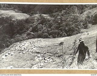 SHAGGY RIDGE AREA, NEW GUINEA. 1944-01-10. QX32713 PRIVATE R. HUNT, I SECTION, HEADQUARTERS, 2/9TH INFANTRY BATTALION WALKING DOWN THE TRACK TO GUY'S POST. BELOW IN THE FARIA VALLEY CAN BE SEEN THE ..