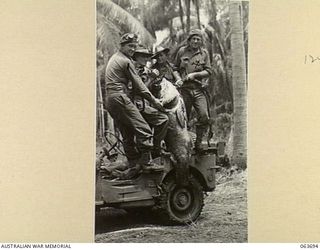 SIALUM AREA, HUON PENINSULA, NEW GUINEA. 1944-01-14. MEMBERS OF THE 1ST TANK BATTALION WITH A GROPER WEIGHING 200 LBS CAUGHT IN THE SIALUM LAGOON, BY NX123604 MAJOR A. I. F. MACKILLOP. LEFT TO ..