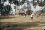 Boys playing soccer, Society Islands