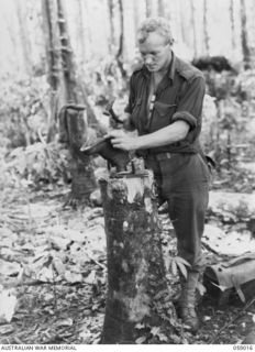 FARIA VALLEY, NEW GUINEA, 1943-10-16. NX85188 PRIVATE D.E. ARIANSEN OF THE 2/27TH AUSTRALIAN INFANTRY BATTALION, REPAIRING BOOTS AT GUY'S POST