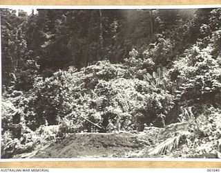 NEW GUINEA. 1943-12-11. A GUN POSITION ON THE DREGER HARBOUR-GODOWA ROAD ABOUT 1000 YARDS IN FROM THE COAST
