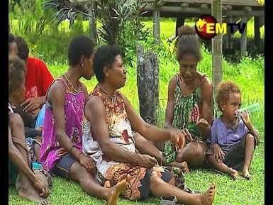 A Closer Look on Cocoa Farming Projets in West Sepik