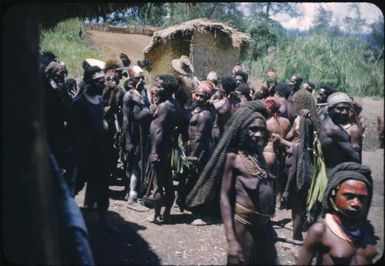 Taken on patrol, typical scene of Aviamp people with house in background : Wahgi Valley, Papua New Guinea, 1954-1955 / Terence and Margaret Spencer