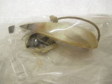 shell trinket