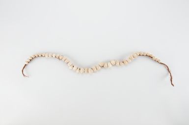 Te katau te tumara