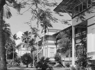 [View of buildings and palm trees]