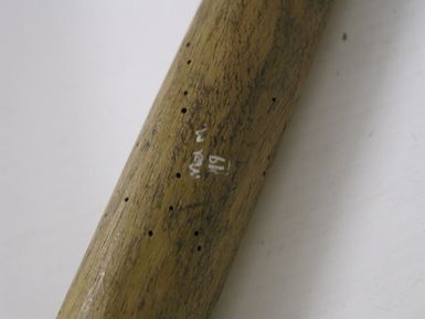 walking stick