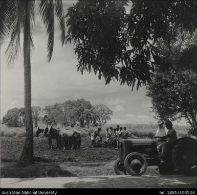 Instructing Fijian farmers