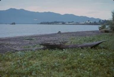 [Landscape of beach, Papua New Guinea]