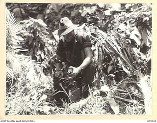 LAE, NEW GUINEA. 1945-03-11. A SIGNALLER OF THE NEW GUINEA SCHOOL OF SIGNALS PREPARING A WS208 MARK II SET TO BE TAKEN OUT ON A PATROL