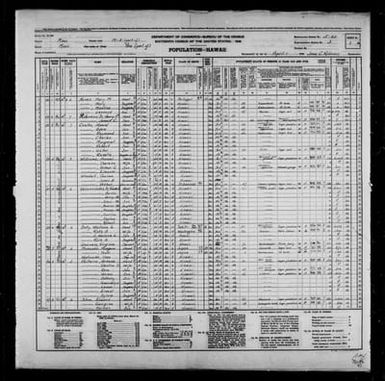 1940 Census Population Schedules - Hawaii - Maui County - ED 5-20