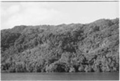 Coastal picture from a canoe, probably inside Sinalagu Harbour