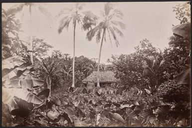 Fale, Fiji