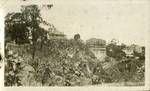 View of Cliffside Flats from Upper River Terrace, Brisbane, 1937