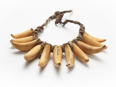 Vuasagale (sperm whale tooth necklace)