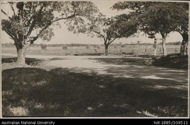 Junction of Government roads, Pineapple Cannery