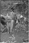 Pig festival, stake-planting, Tuguma: man with hornbill beak ornament builds elevated oven