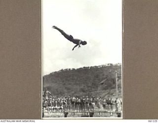 PORT MORESBY, NEW GUINEA. 1943-11-28. LEADING SEAMAN SCOTT, ROYAL AUSTRALIAN NAVY, TAKES OFF FROM THE HIGH DIVING TOWER AT THE ALLIED SERVICES GRAND SWIMMING CARNIVAL