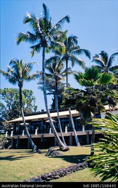 Fiji - white poolside hotel with palm trees