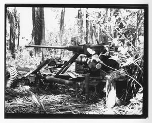 [Anti-Aircraft Gun on Guadalcanal, No. 2]