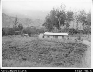 New Guinea houses, New Guinea Research Unit: Field house, Mintima