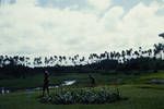 Garden and lagoon, Balimo, 1960?