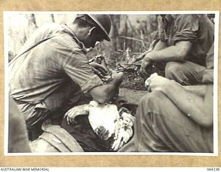 SHAGGY RIDGE, NEW GUINEA. 1944-01-22. ORDERLIES ATTENDING WOUNDED PERSONNEL OF THE 2/9TH INFANTRY BATTALION AT A FORWARD AID POST DURING THE BATTLE FOR SHAGGY RIDGE