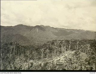 CENTRAL BOUGAINVILLE ISLAND, SOLOMON ISLANDS. C. 1945-01-01. AERIAL PHOTOGRAPH OF PEARL RIDGE, SHOWING THE TORTUOUS TRACK TAKEN BY AUSTRALIAN MILITARY FORCES. IT IS 3500 FEET HIGH AND IS COVERED BY ..