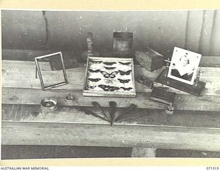 KOITAKI, PORT MORESBY AREA, PAPUA, NEW GUINEA. 1944-3-26. MODELS CONSTRUCTED IN WORKSHOPS OF THE AUSTRALIAN ARMY EDUCATION SERVICE ATTACHED TO THE 113TH CONVALESCENT DEPOT FROM LOCAL CEDAR AND ..